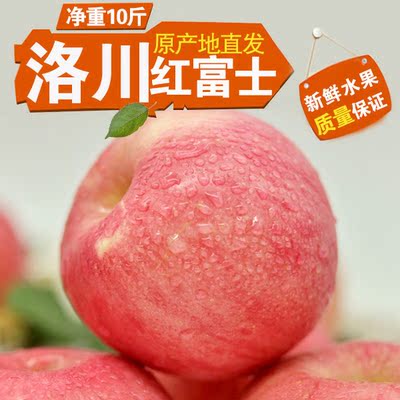 <青春果园>陕西脆甜红富士苹果新鲜水果冰糖心洛川苹果白水苹果