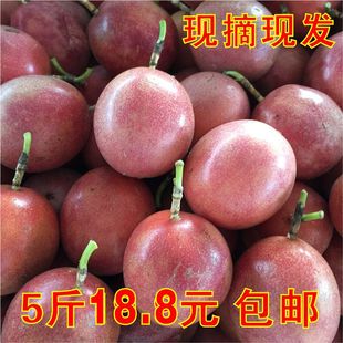 广西新鲜水果百香果 鸡蛋果 西番莲 现摘发货 5斤29.8元包邮