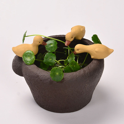 创意个性紫砂多肉小花盆动物鸭子植物盆栽桌面鸭子摆件水培花盆