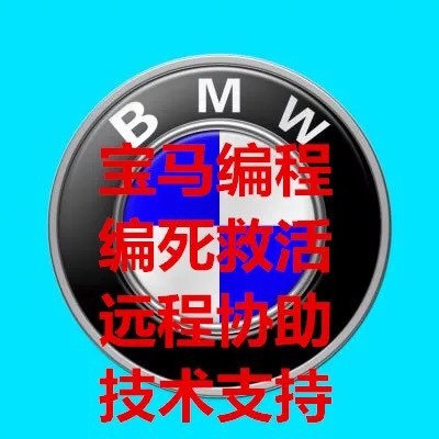 奔驰宝马奥迪远程编程协助 刷隐藏 中文汉化 救刷死 技术支持