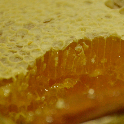 福建农家天然野生蜂蜜自产无添加最纯正蜂蜜500g装
