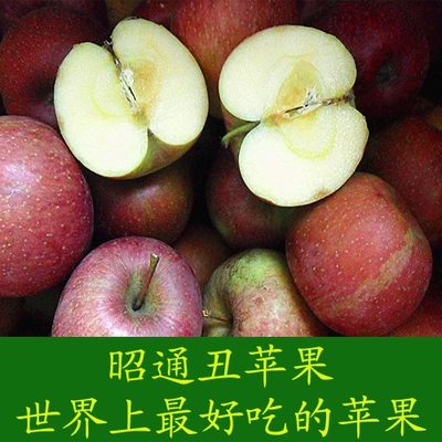 云南丑苹果 昭通苹果 丑苹果 冰糖心 脆甜多汁 新鲜水果10斤包邮