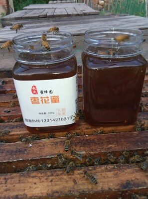 正品蜂蜜枣花蜜纯正蜂蜜纯天然自产农家土蜂蜜野生红枣蜂蜜无添加