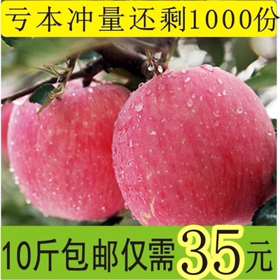 陕西洛川红富士小苹果水果10斤批发包邮吃的纯天然新鲜嘎啦苹果