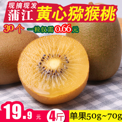 蒲江黄心猕猴桃奇异果新鲜水果30个4斤小果四川特产应季孕妇水果