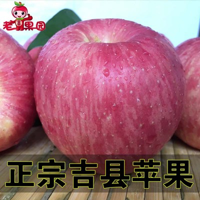 【老8果园】5斤山西吉县红富士苹果赛洛川壶口苹果冰糖心新鲜水果