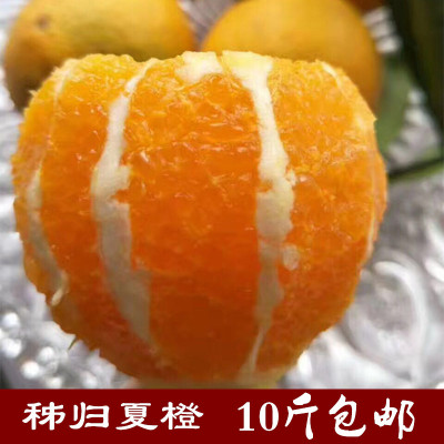 【10斤包邮】秭归脐橙夏橙蜜奈蜜津脐橙子五月红新鲜水果非伦晚
