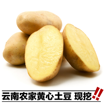 农家新鲜黄心土豆8斤装自家种马铃薯洋芋云南特产现挖现发新洋芋