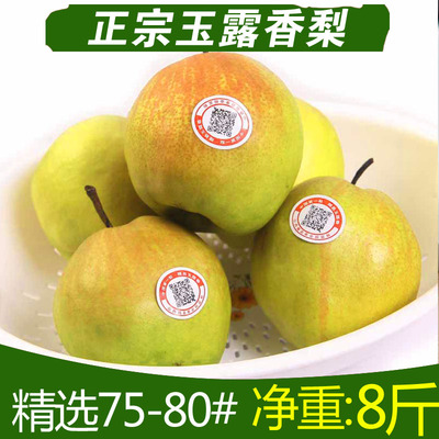 【老8果园】山西特产隰县玉露香梨新鲜水果梨子比酥梨雪花梨好吃