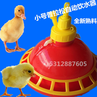雏鸡苗小鸡鸭鸽用普拉松自动饮水器加水机水壶水桶水罐养殖鸡用品