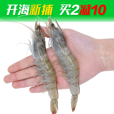 青岛尚致手选大号新鲜海虾大对虾青虾3.8斤装包邮单只14cm