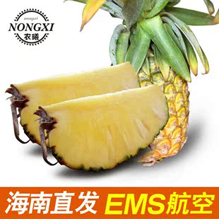 海南金菠萝凤梨新鲜水果现发特产5斤包邮