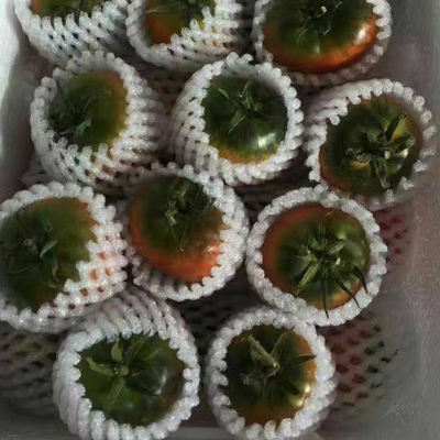 铁皮绿腚油柿子无公害盐碱地草莓番茄柿子5斤丹东东港原产地包邮