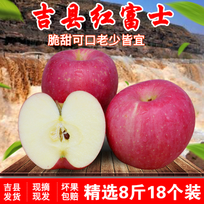山西吉县冰糖心苹果壶口红富士新鲜水果吃的非运城临猗苹果8斤装