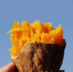 农家自产新鲜红薯4kg