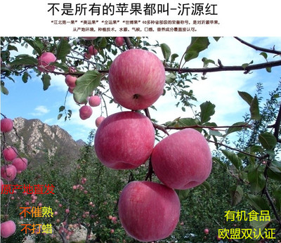 10斤山东特产沂源红苹果胜烟台栖霞新鲜纯天然生态水果红富士苹果