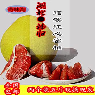 新鲜水果湖北特产柚子 红心柚子平和 琯溪蜜柚沙田柚子茶原料包邮
