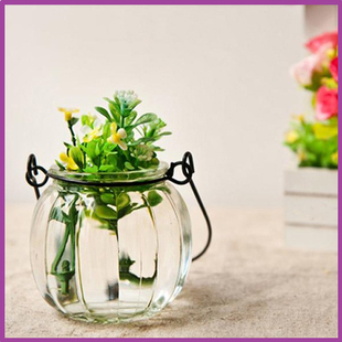促销水培瓶 创意植物吊瓶 个性玻璃水培容器插花瓶南瓜瓶南瓜溶器