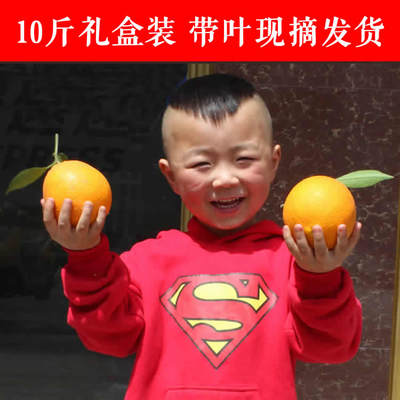 橙子10斤礼盒秭归脐橙纽荷尔脐橙比赣南脐橙现摘现发巴东生态水果