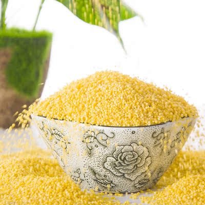 黄小米2015新米小农家杂粮食有机月子米小黄米宝宝米熬粥小米1斤