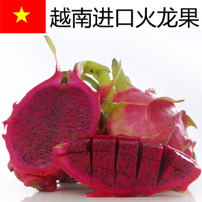 热带新鲜水果 越南进口红肉火龙果秒杀海南红心火龙果坏包赔
