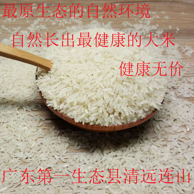 连山农村大米绿色健康黄花粘 非转基因不抛光米 油粘米 放心米