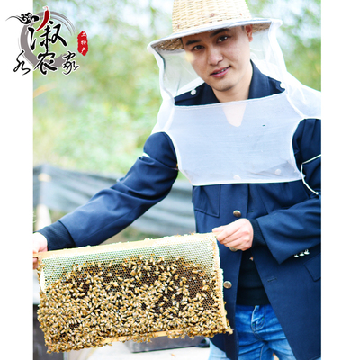 溆水农家湘西溆浦土蜂蜜纯正出口特级洋槐蜜品质信誉保证包邮