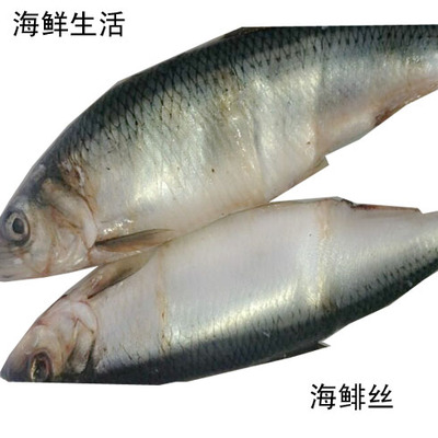 海鲜水产  海鱼 海鲱丝 海飞丝 棍子鱼 如东特产 南通洋口港